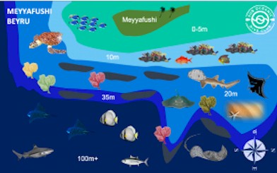 Meyyafushi Beyru